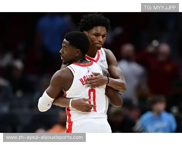 火箭队全场比赛回放资源推荐及使用方法